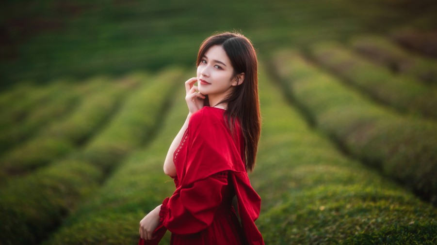 SEO与前端开发：哪个更适合你的职业发展？