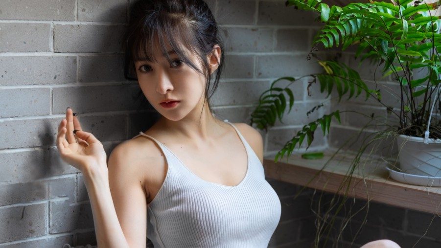 深入解析SEO搜索引擎原理：提升你的网站排名的秘诀