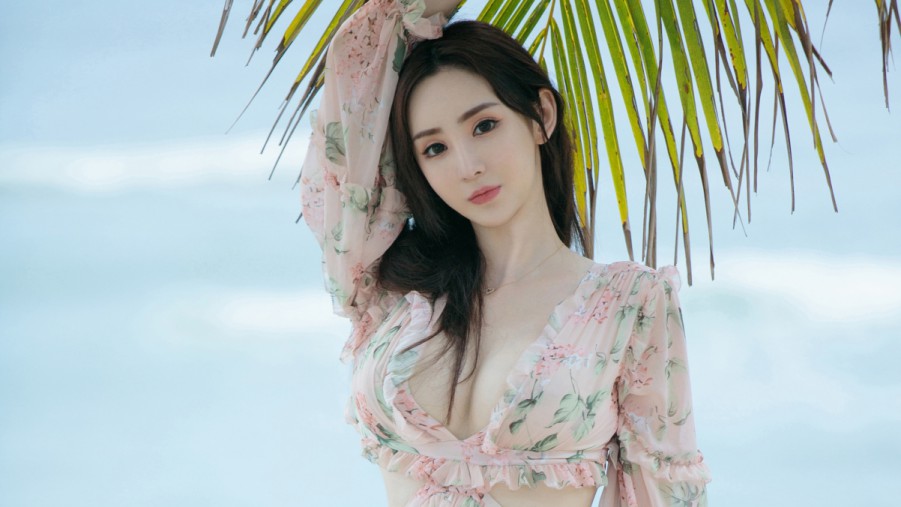 SEO排名的要素详解：提升网站流量的关键指南