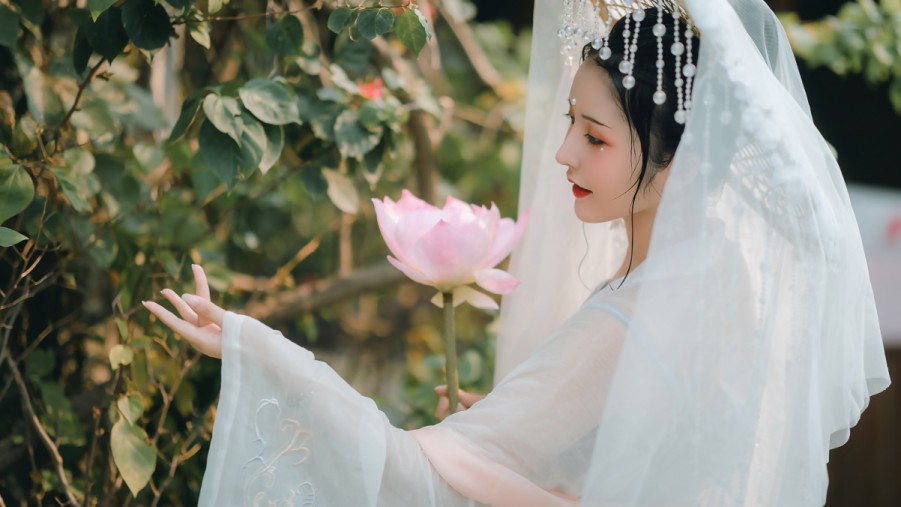 蜘蛛池能不能登录手机
